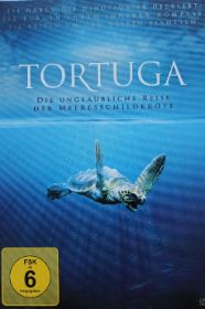 DVD Tortuga.JPG
